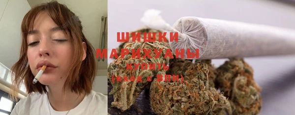 дурь Богданович