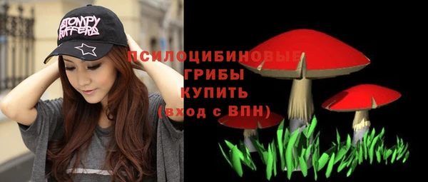 прущая мука Арсеньев