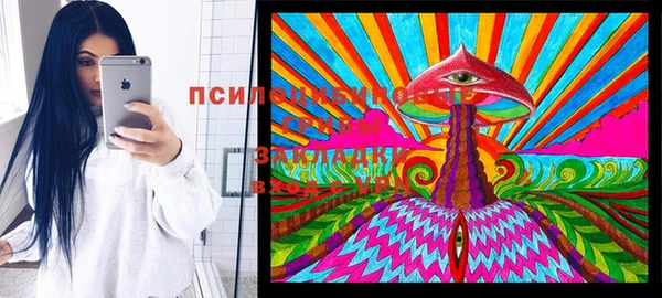 прущая мука Арсеньев