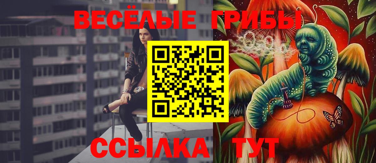 Псилоцибиновые грибы прущие грибы Петровск