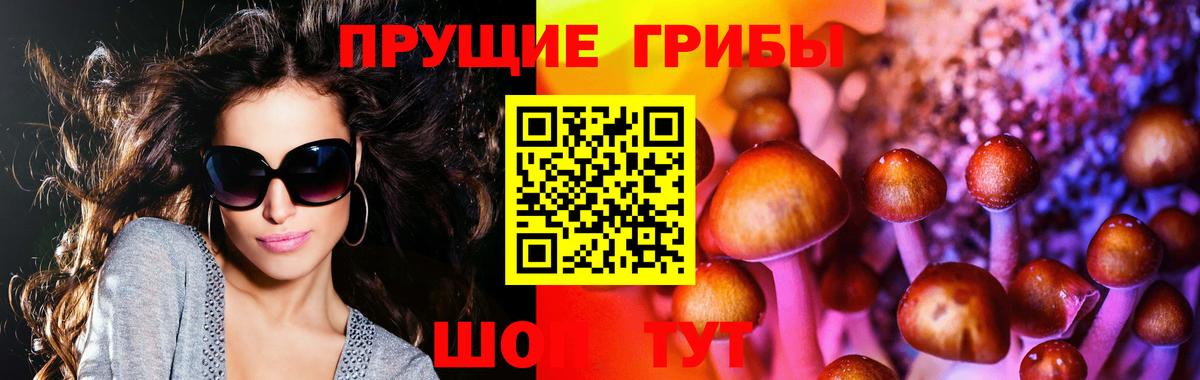 Петровск  Псилоцибиновые грибы мицелий  Вход с VPN  Псилоцибиновые грибы MAGIC MUSHROOMS 