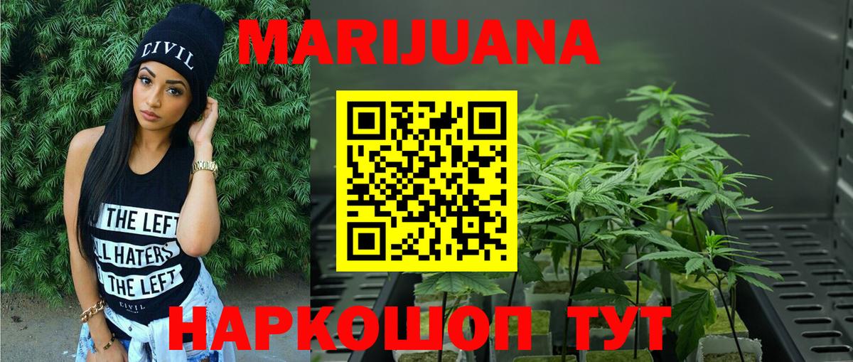 Бошки Шишки тримм  Вход с VPN  Петровск  Каннабис марихуана 